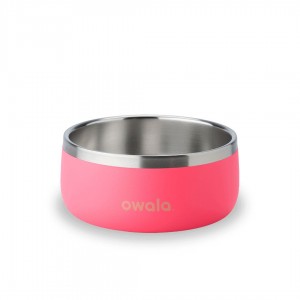 Owala® 3 Cups Pet Bowl Hyper Flamingo | 124875-ACL