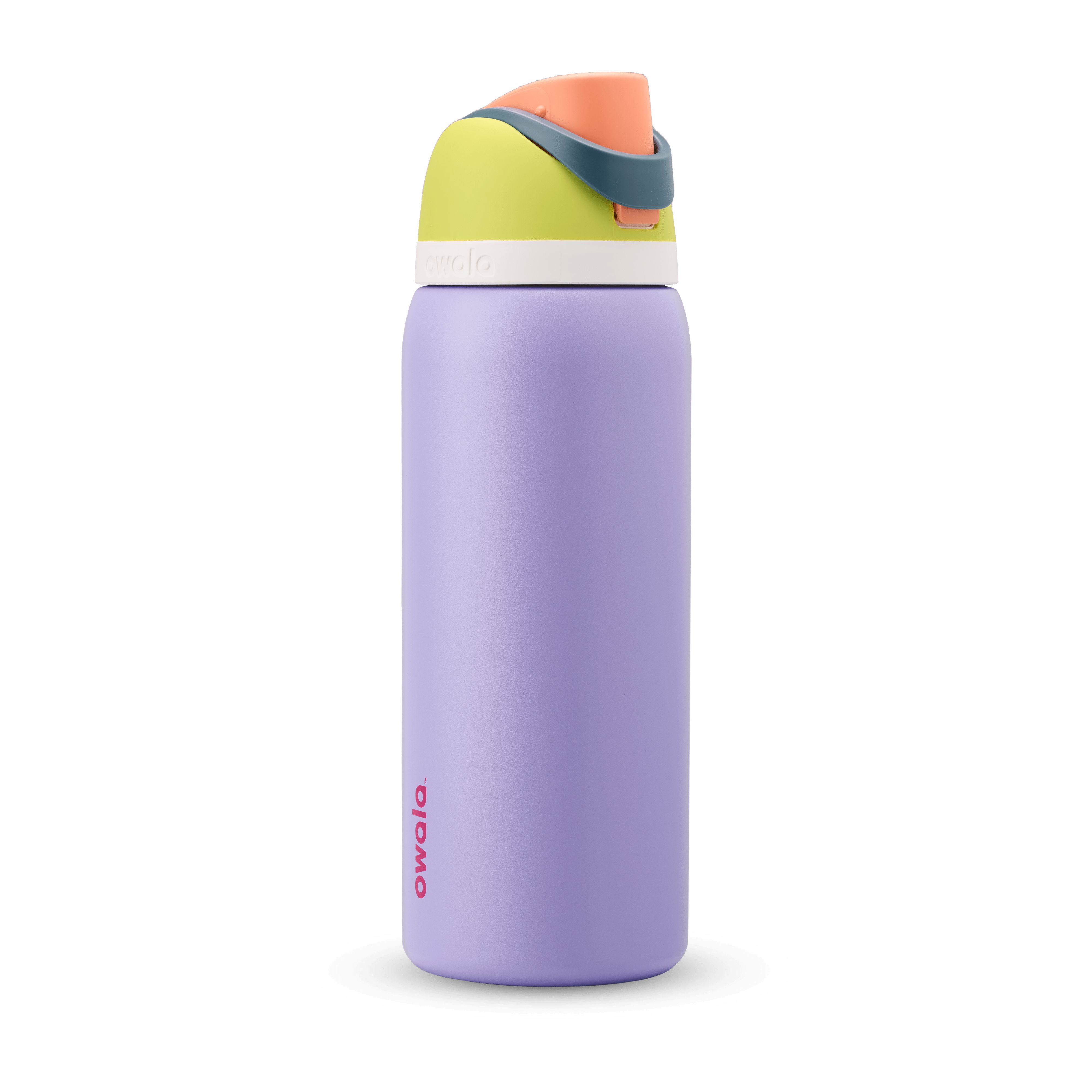 Owala® 32oz FreeSip® Stainless Steel Water Bottle Retro Boardwalk | 092485-IPH