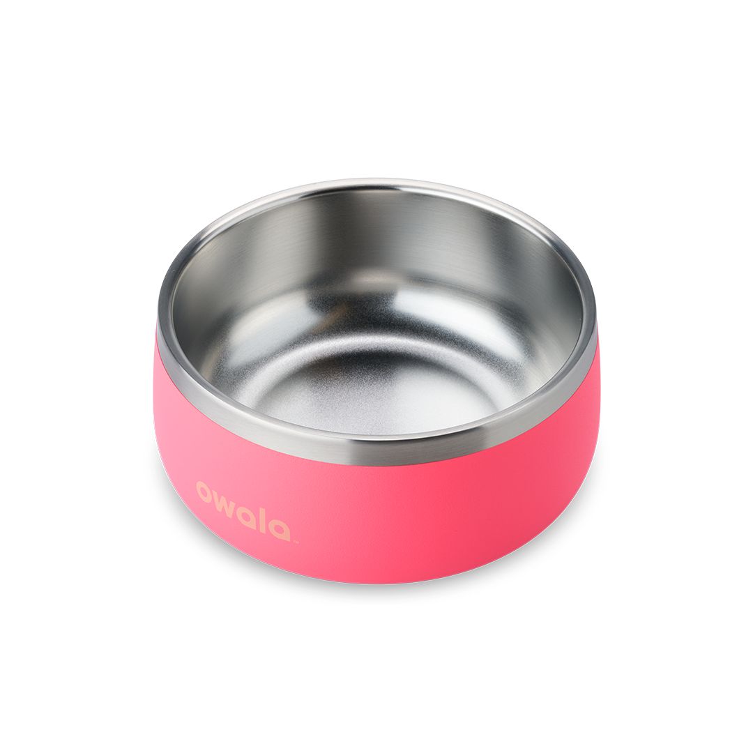 Owala® 3 Cups Pet Bowl Hyper Flamingo | 124875-ACL