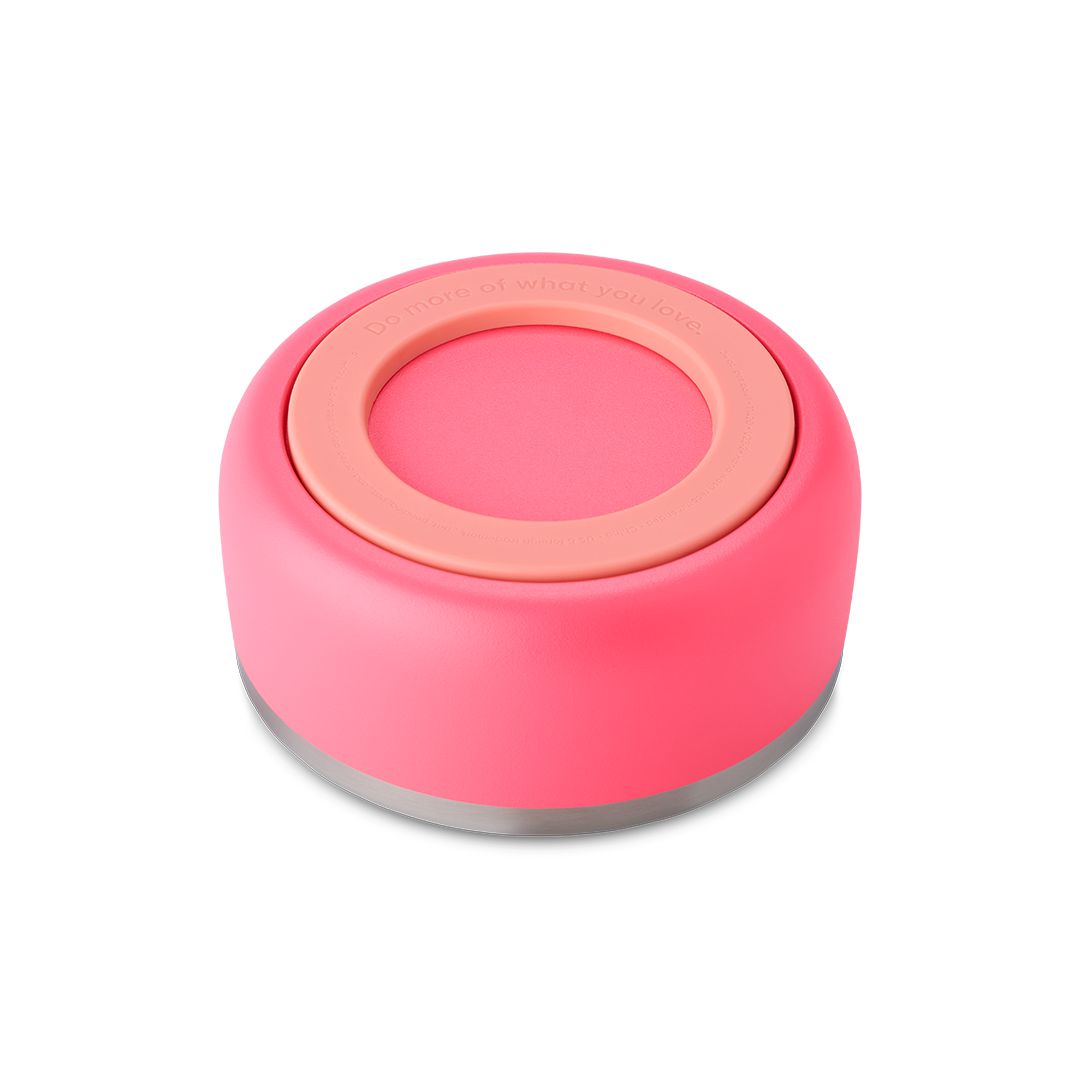 Owala® 3 Cups Pet Bowl Hyper Flamingo | 124875-ACL