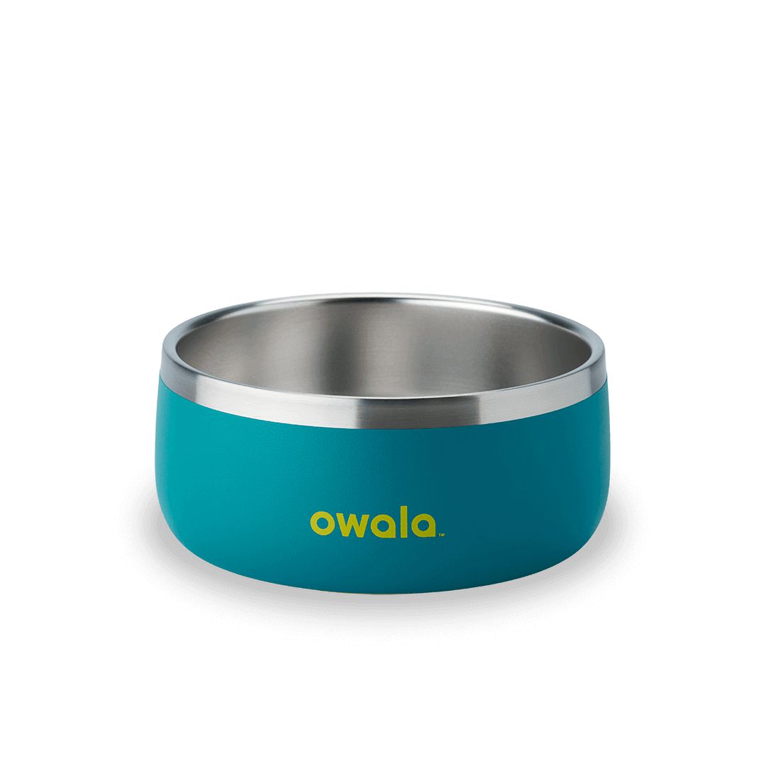 Owala® 3 Cups Pet Bowl Turquoise & Caicos | 983076-YPV