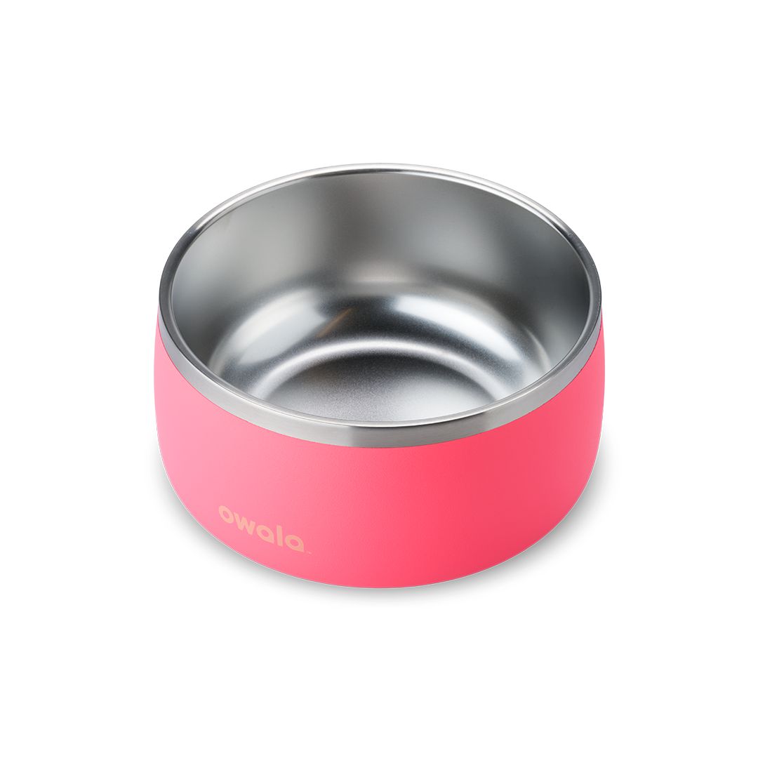 Owala® 6 Cups Pet Bowl Hyper Flamingo | 084957-NXV