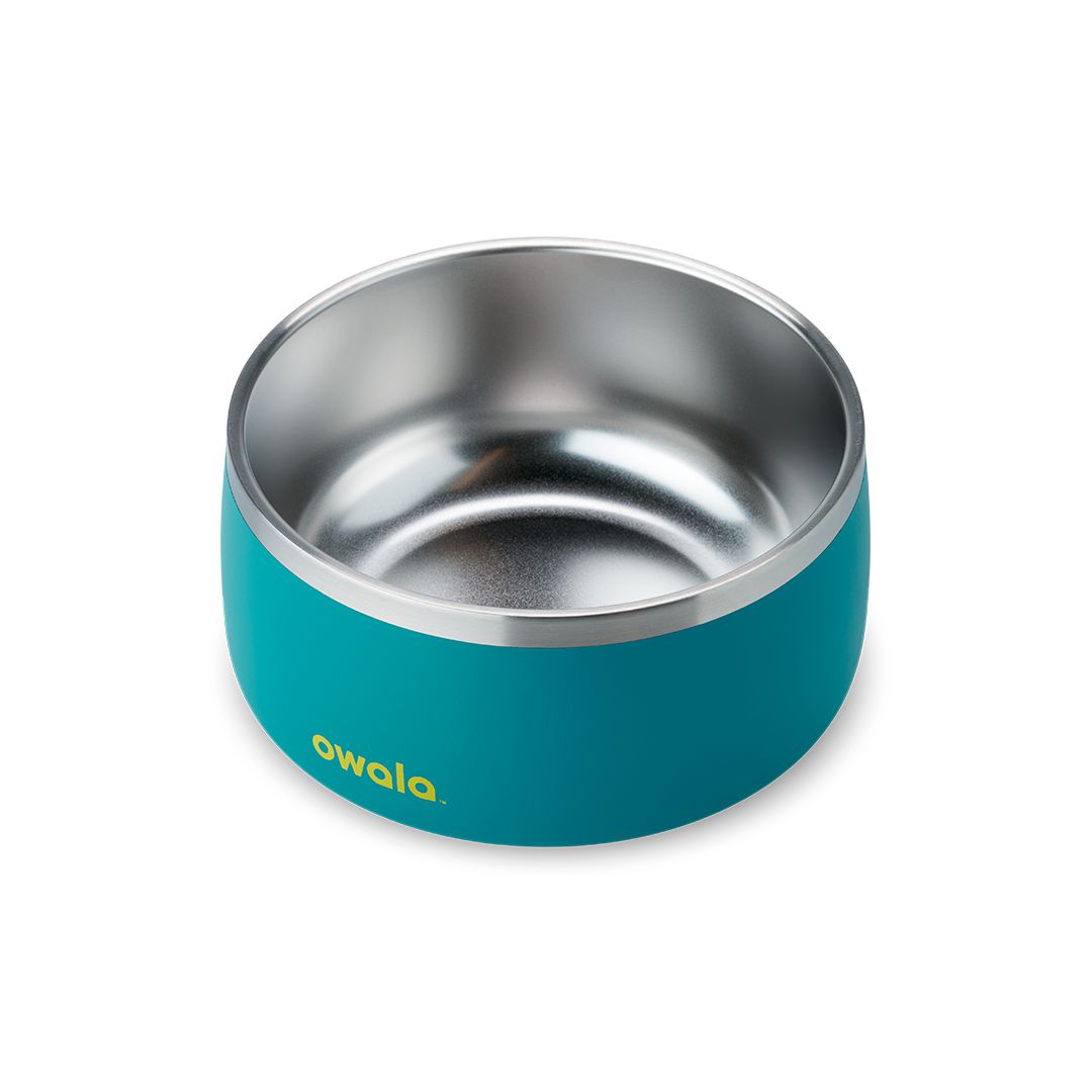 Owala® 6 Cups Pet Bowl Turquoise & Caicos | 957832-KDE