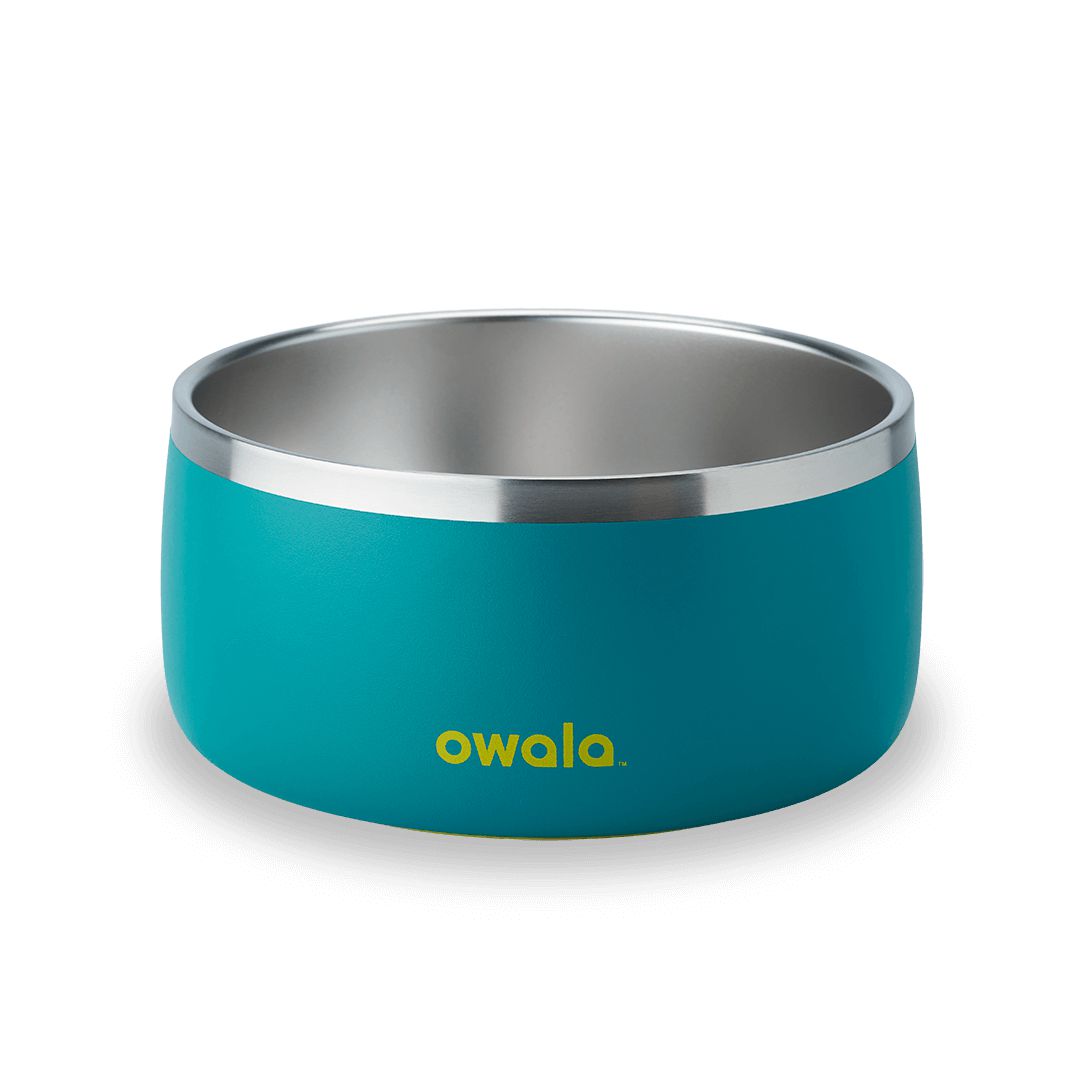 Owala® 6 Cups Pet Bowl Turquoise & Caicos | 957832-KDE